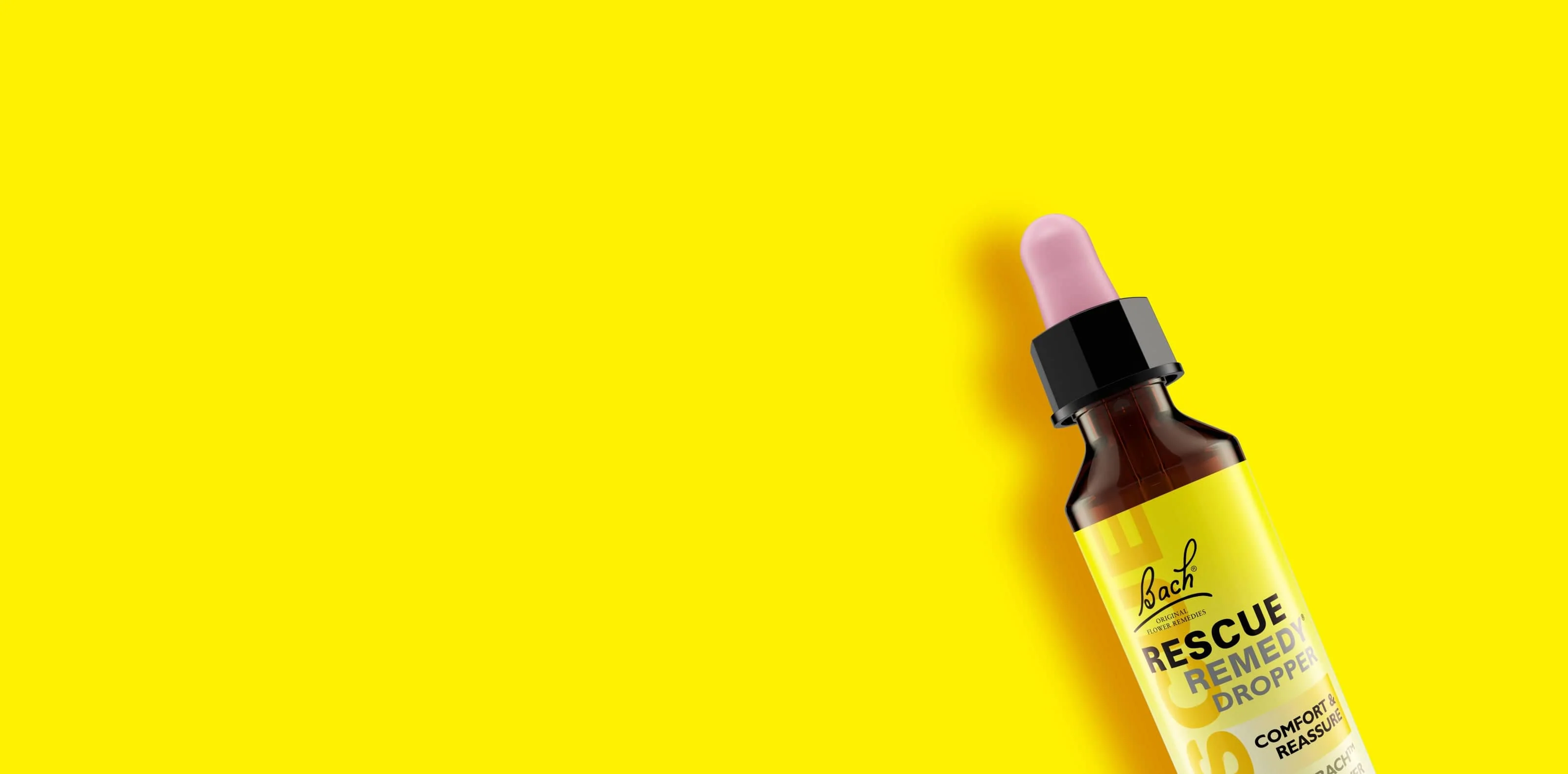 Elevate Your Everyday Style